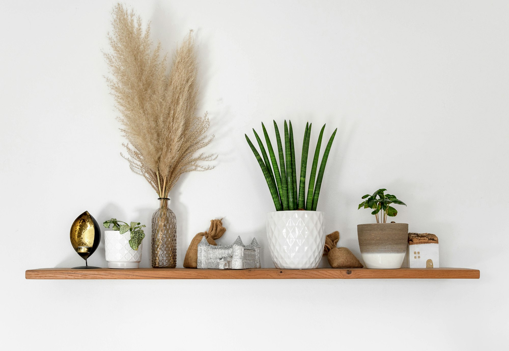 Floating wooden shelf on white wall. Decorations and potted plants on shelf.